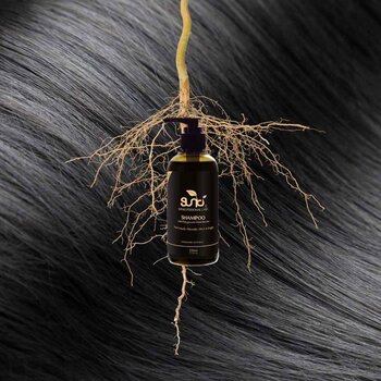 Sunki Soapberry Shampoo with Polygonum  220ml