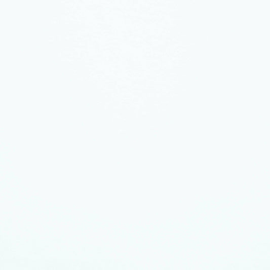 Home Treasures Plush 1000TC Solid Bedding White Swatch Fine Linens