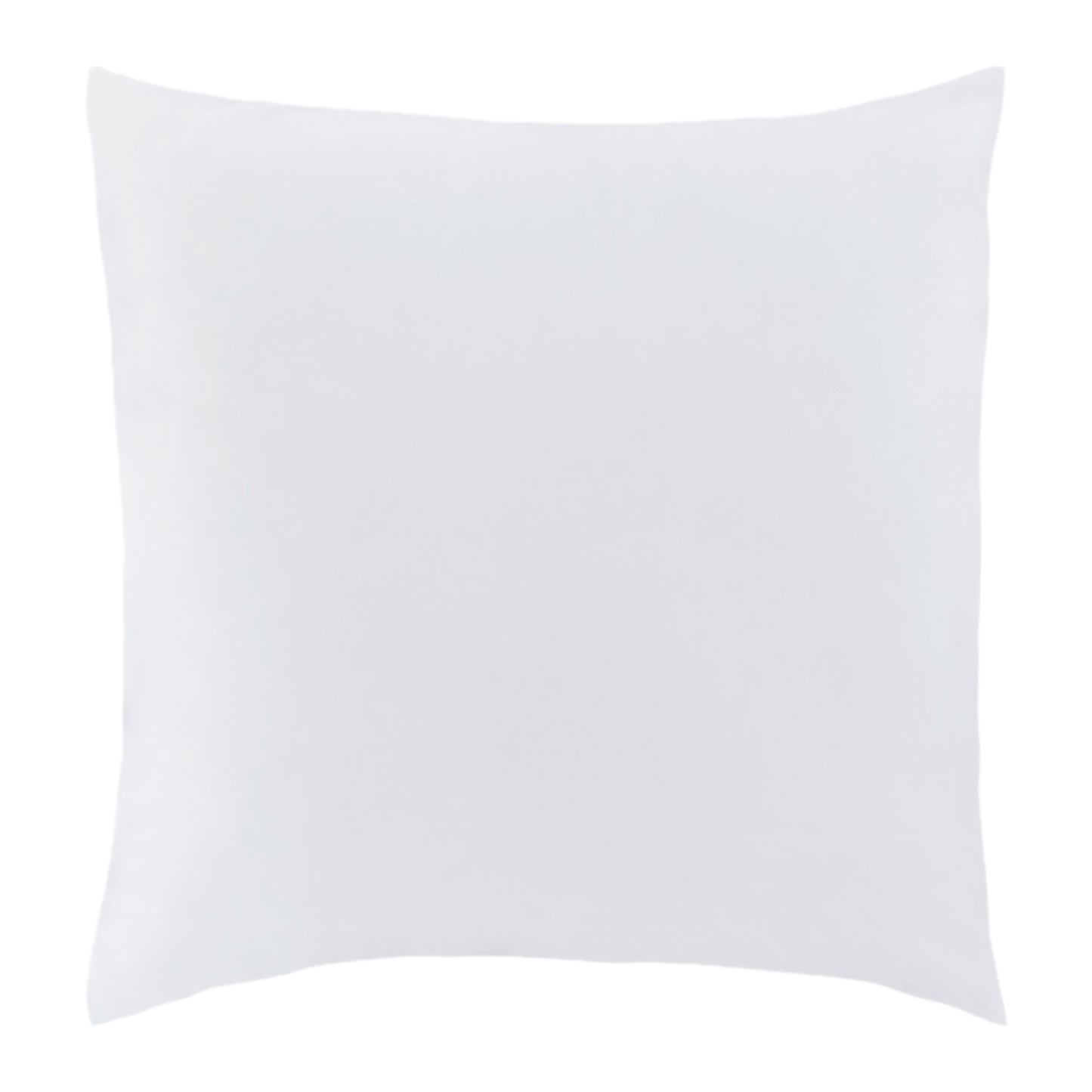 Euro Sham of Pine Cone Hill Silken Solid Bedding in Color White