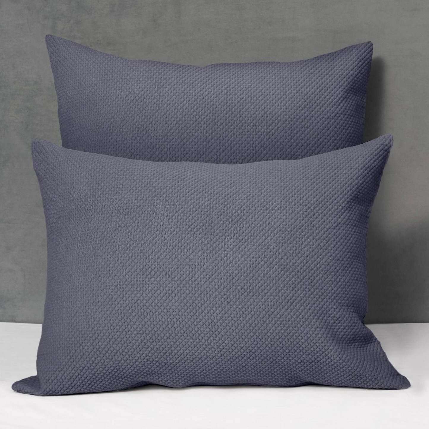 Two Shams of Signoria Olivia in Amethyst Colors