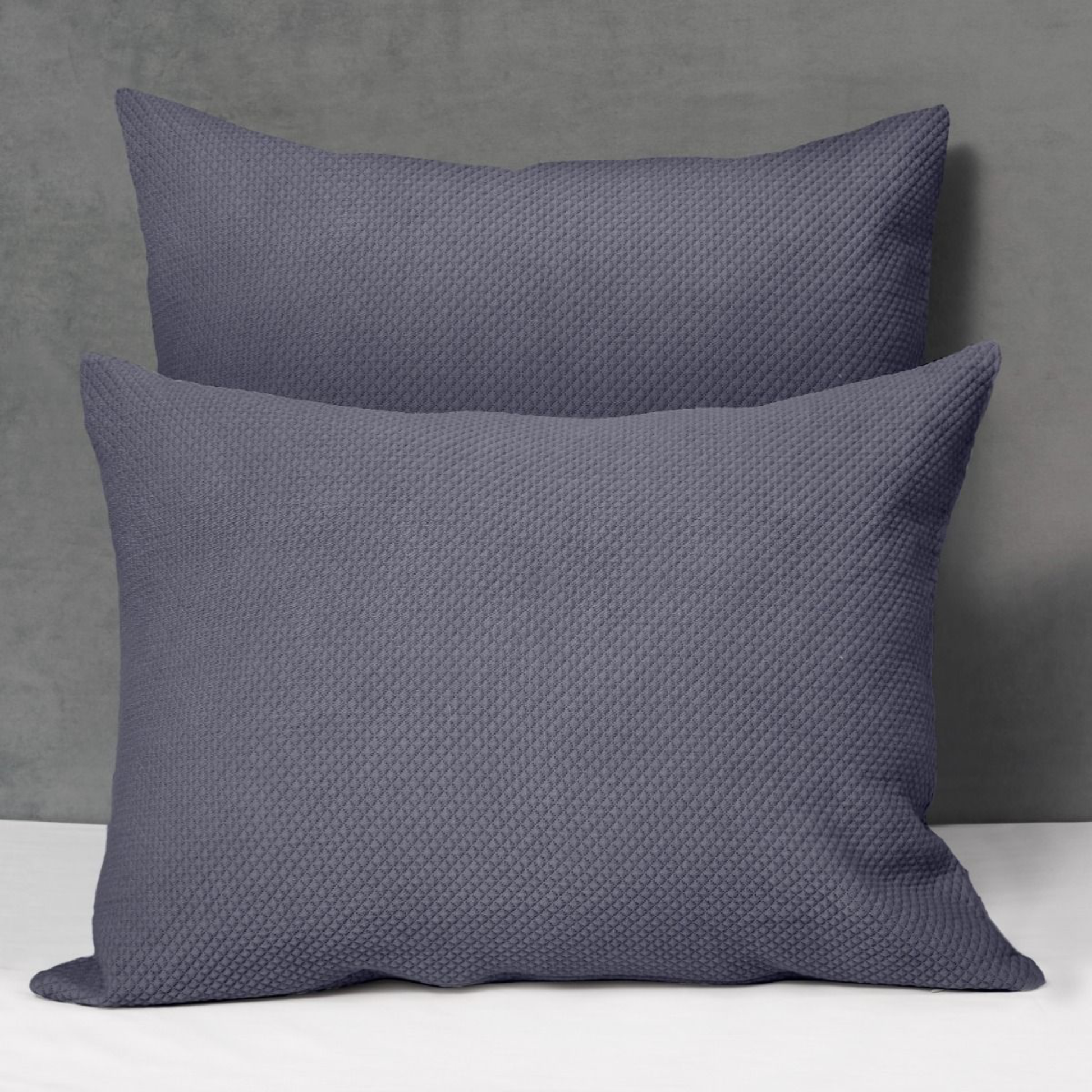 Two Shams of Signoria Olivia in Amethyst Colors