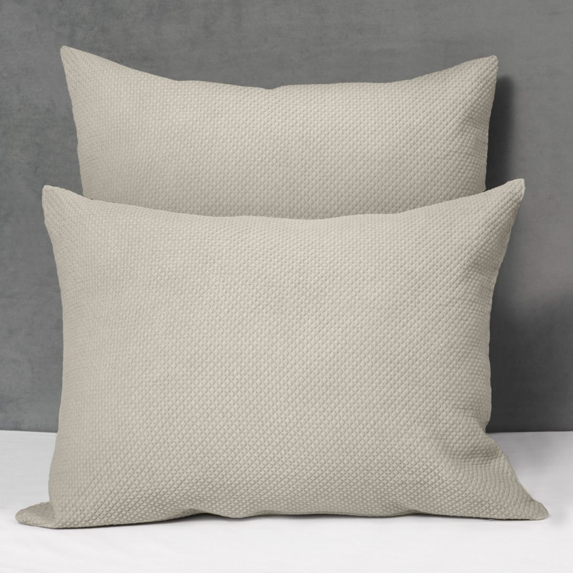 Two Shams of Signoria Olivia in Beige Colors