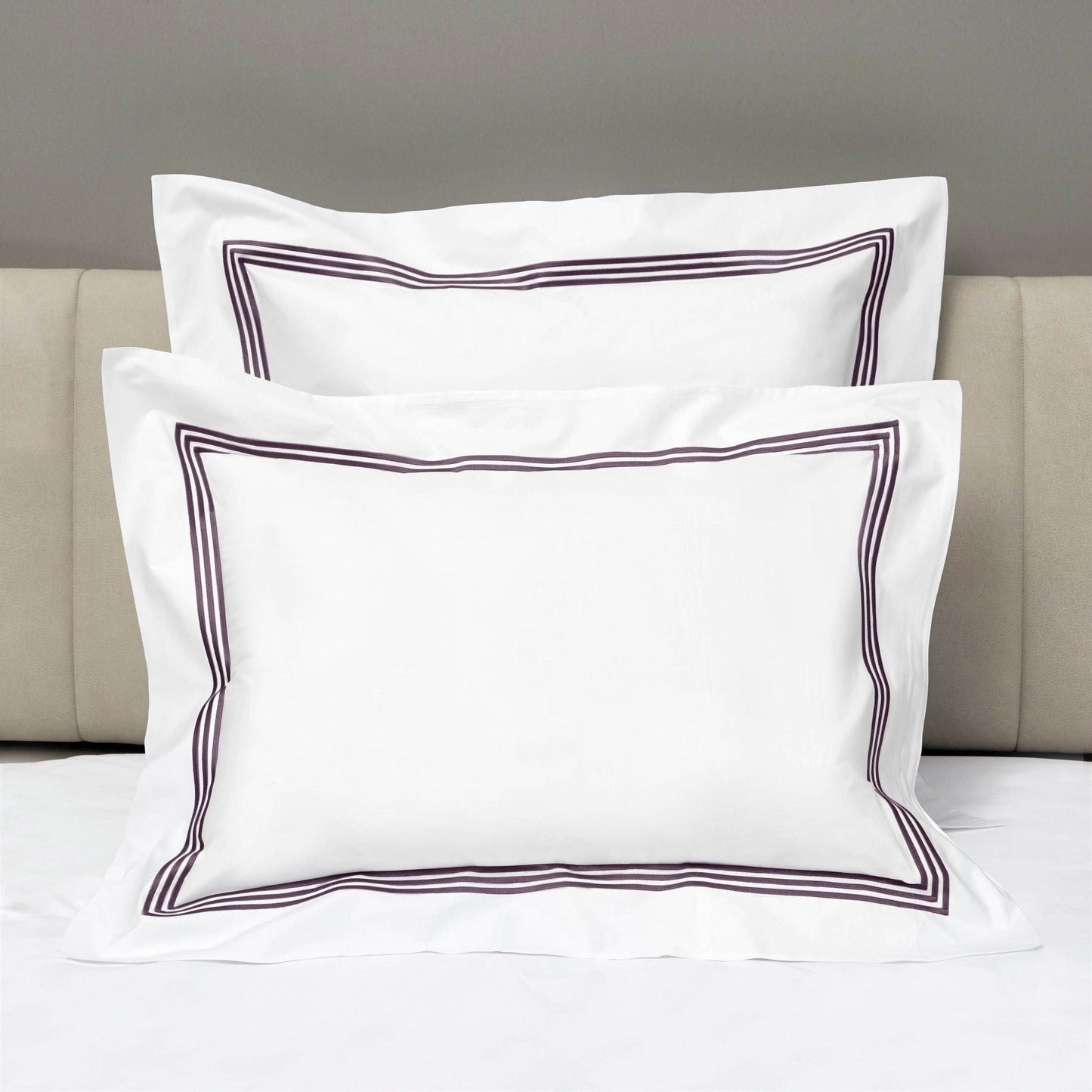 Shams of Signoria Platinum Percale Bedding in White/Plum Color